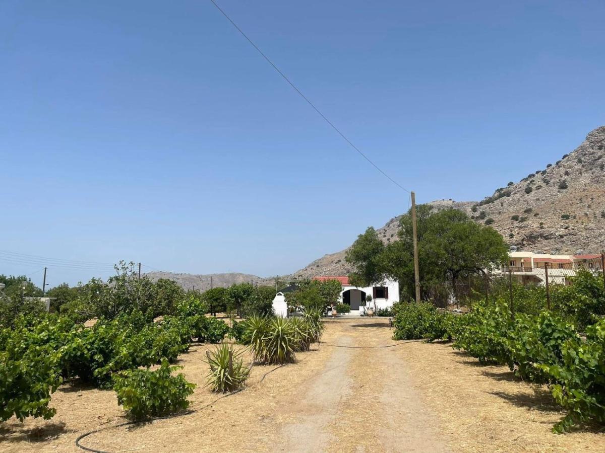 Aegean Endless Summer Pefkos *